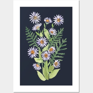 Aster Posters and Art